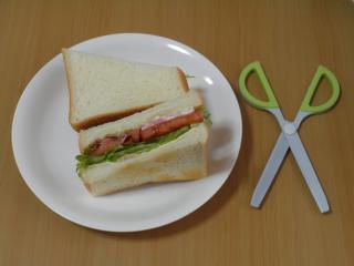 BLT$B%5%s%I$N40@.$G$9(B