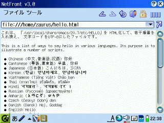 multilingual page on netfront